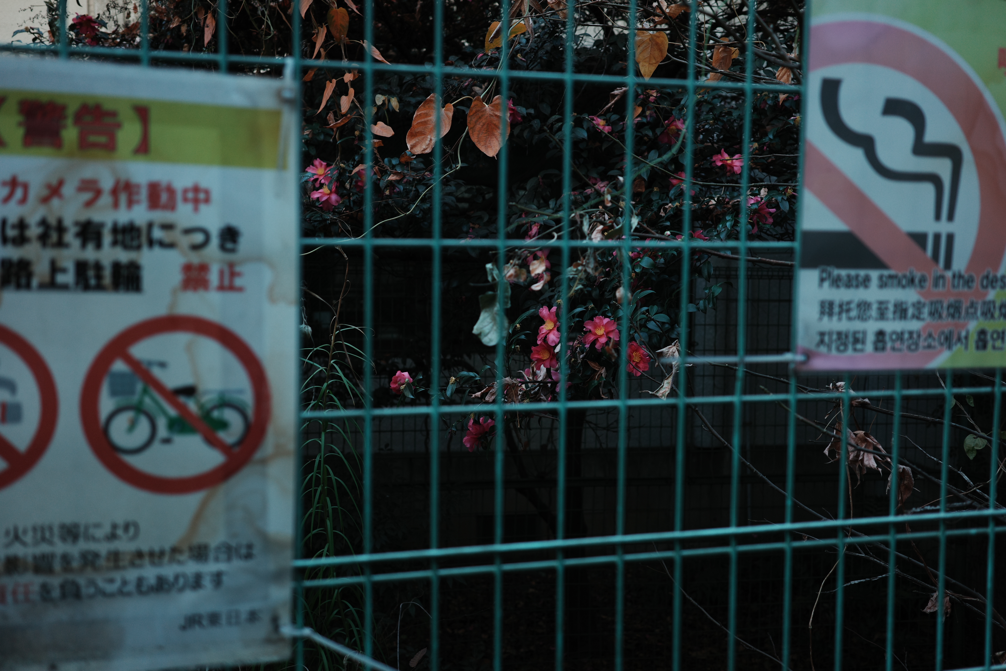 あれもこれも禁止