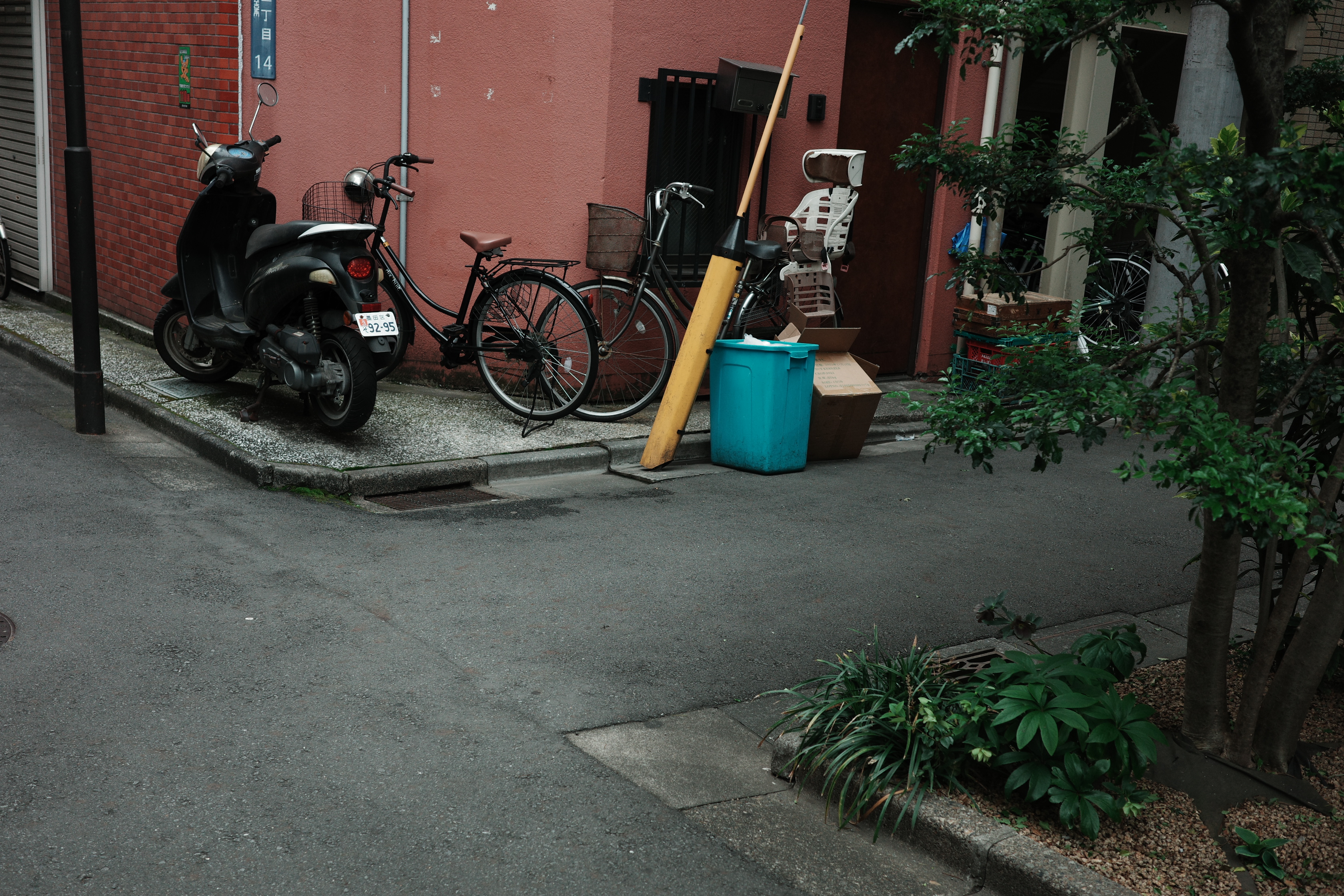 なんでこれ撮ったのかわかりません