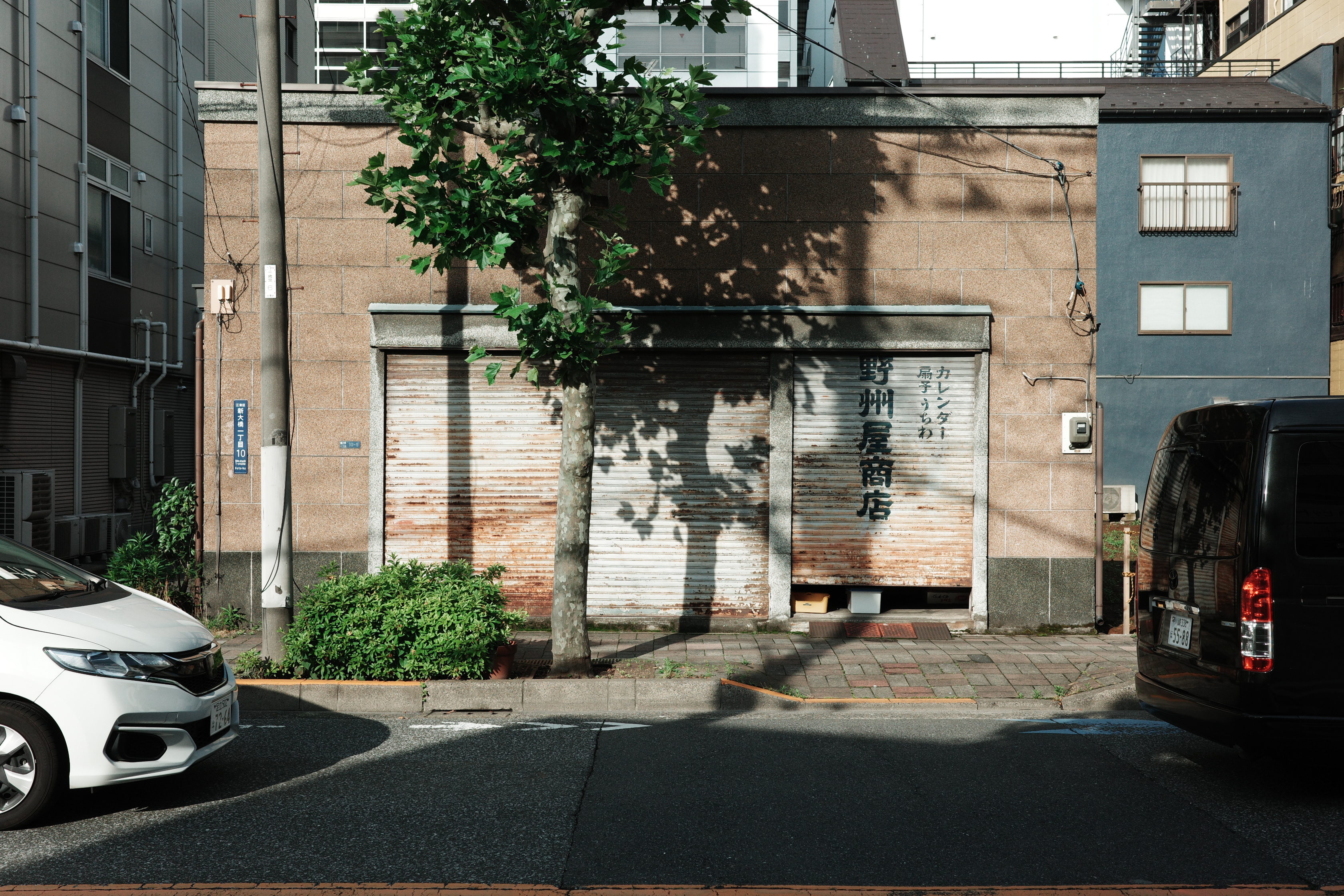 左右のバランス